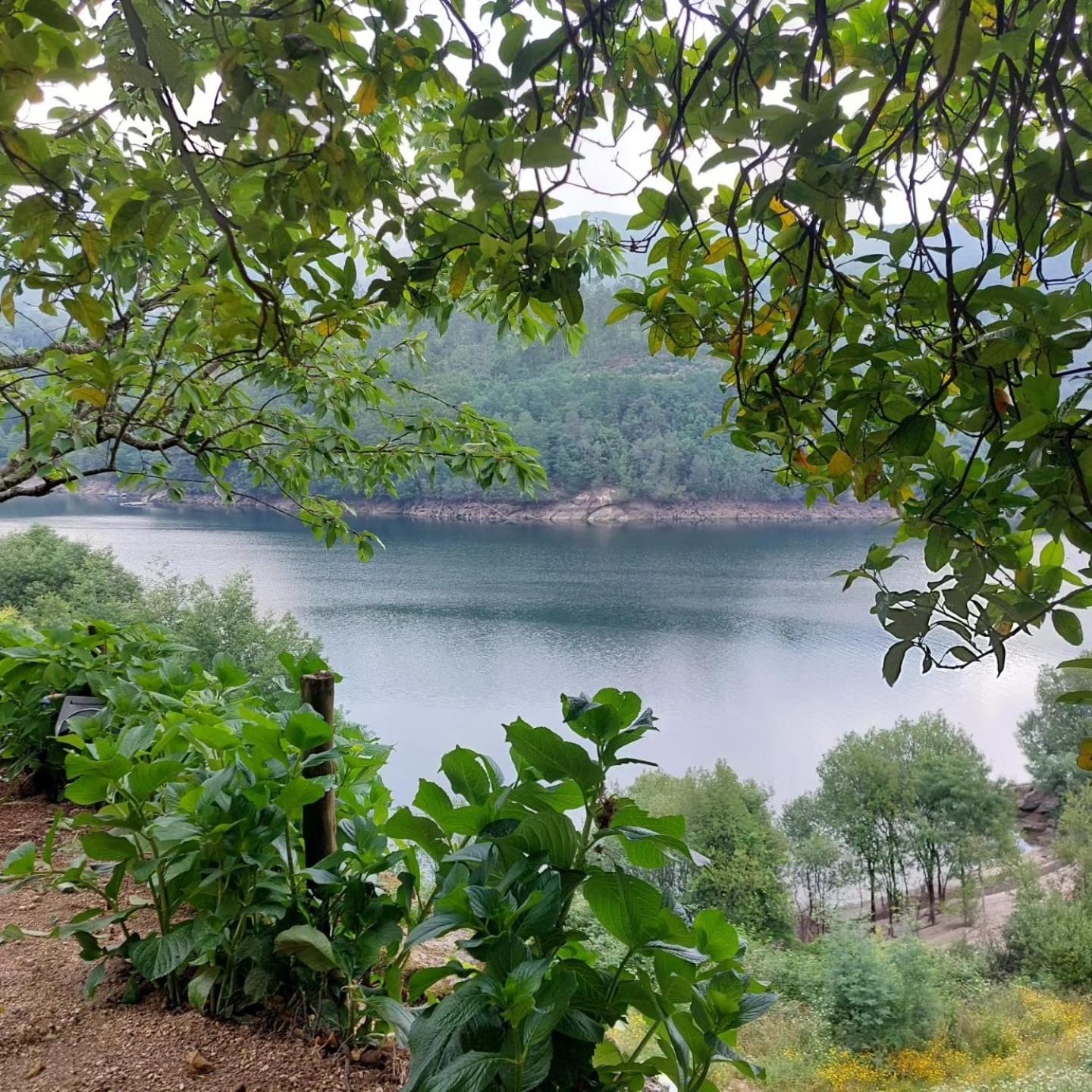 Casa Do Penedo - Quinta De Fundevilla Geres Dış mekan fotoğraf